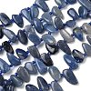 Natural Blue Aventurine Beads Strands G-P604-A18-01-2