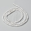 Natural Rainbow Moonstone Beads Strands X-G-O186-D02-01-3