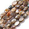 2 Strands Natural Paua Shell Beads Strands BSHE-PA0001-09-8