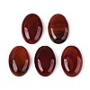 Natural Red Agate(Dyed & Heated) Cabochons G-N361-05B-05-1