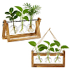 2 Bags Rustic Triple Glass Hydroponic Vase with Wooden Stand AJEW-TW0001-38-1