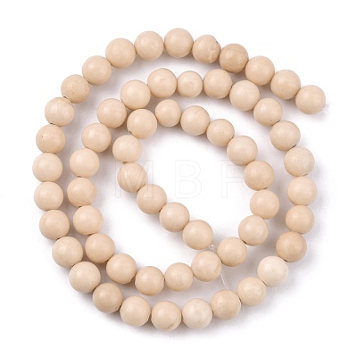 Natural Fossil Beads Strands G-E110-6mm-2-1