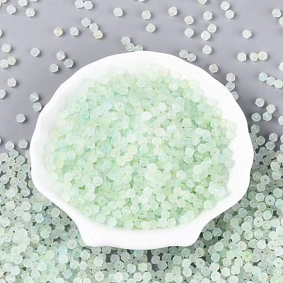 Frosted Glass Seed Beads SEED-N012-01D-1