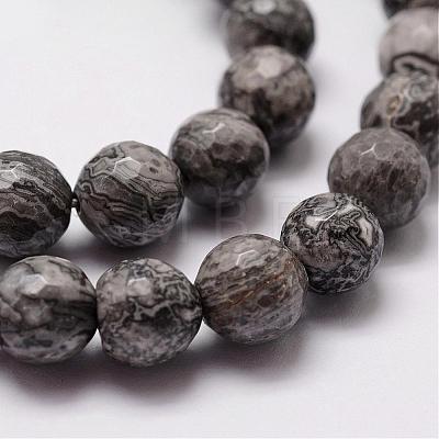 Natural Map Stone/Picasso Stone/Picasso Jasper Beads Strands G-D840-35-6mm-1