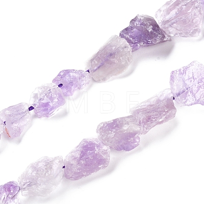 Natural Amethyst Beads Strands G-I283-E03-1