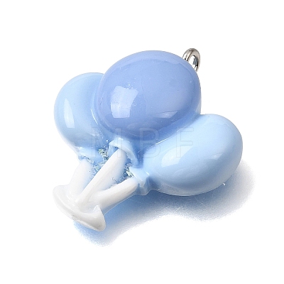 Opaque Resin Pendants RE-CBAA178-01P-1