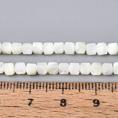 Natural Trochid Shell/Trochus Shell Beads Strands SSHEL-N041-04B-01-1