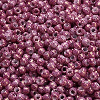 TOHO 6/0 Round Beads X-SEED-TR06-1202-1