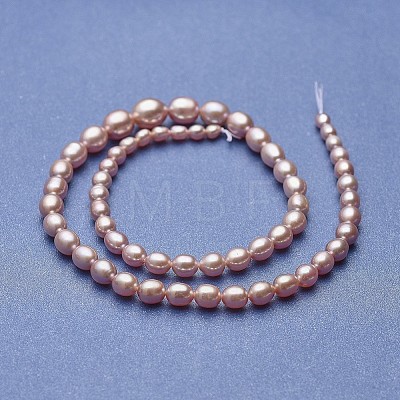 Natural Cultured Freshwater Pearl Graduated Beads Strands PEAR-P060-05C-01-1