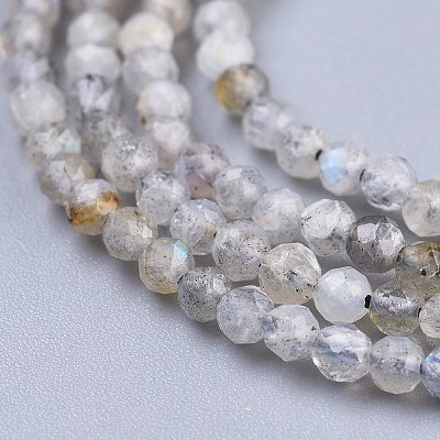 Natural Labradorite Beads Strands X-G-R475-025A-1