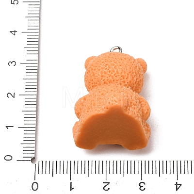 Opaque Resin Pendants RE-CBA5E0A-01E-1