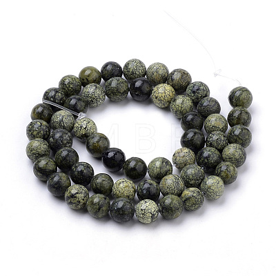 Natural Serpentine/Green Lace Stone Beads Strands G-S259-15-8mm-1-1