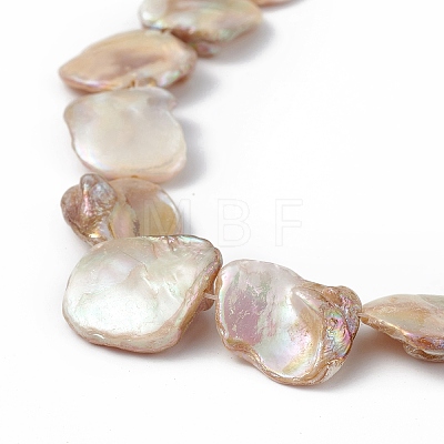 AB Color Plated Natural Freshwater Shell Beads Strands BSHE-G033-03B-1