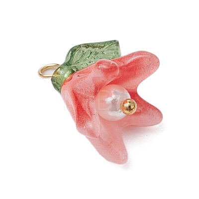 Handmade Lampwork Pendants PALLOY-TA00184-1