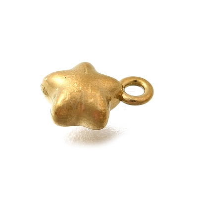 304 Stainless Steel Charms X-STAS-D310-06G-05-1