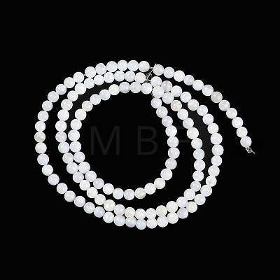Natural Cultured Freshwater Shell Beads Strands X-BSHE-H109-03A-1