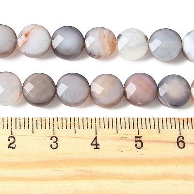 Natural Grey Botswana Agate Beads Strands G-C179-A50-03-1