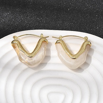 Brass Resin Hoop Earrings EJEW-P333-11A-G01-1