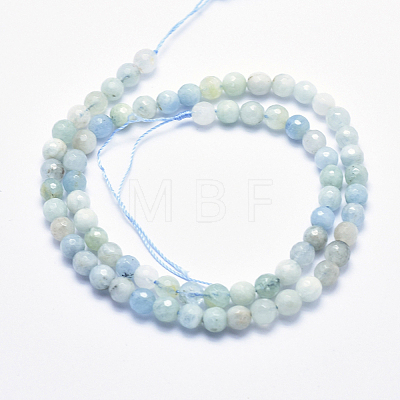 Natural Aquamarine Beads Strands G-K256-59B-1