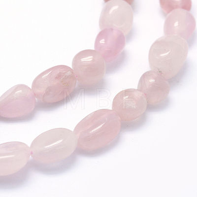 Natural Rose Quartz Beads Strands G-K230-12-1