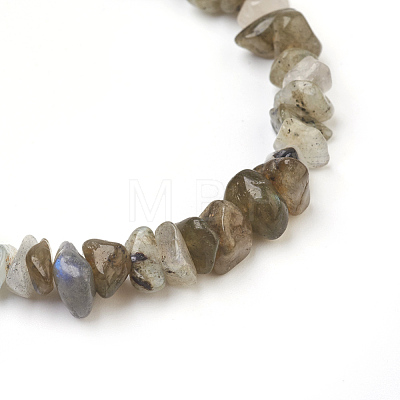Natural Labradorite Chip Beads Anklets AJEW-AN00229-07-1