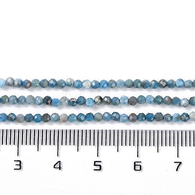 Natural Apatite Beads Strands G-G139-A02-01-1