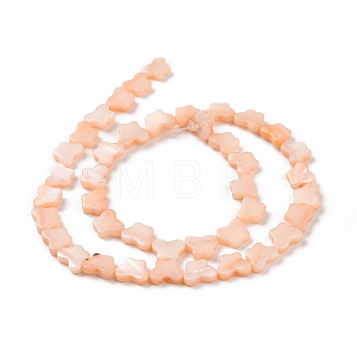 Natural Freshwater Shell Beads Strands SHEL-H002-02-1