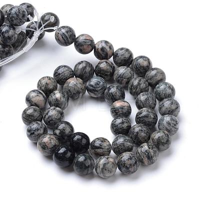 Natural Black Silk Stone/Netstone Bead Strands G-R412-23-10mm-1