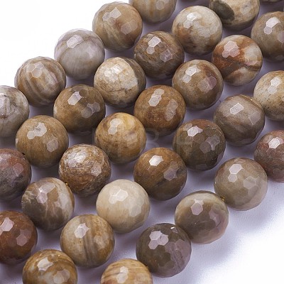 Natural Petrified Wood Beads Strands G-P430-16-D-1