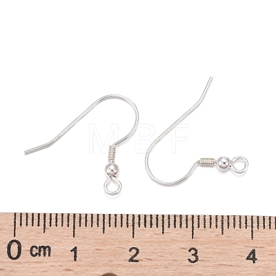 925 Sterling Silver Earring Hooks STER-K167-052S-1