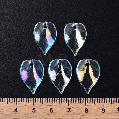 Transparent Acrylic Beads MACR-S373-103-C03-1