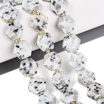 Natural Sesame Jasper Beads Strands G-N368-01A-19-1
