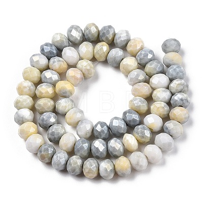 Faceted Electroplated Glass Beads Strands X-GLAA-C023-02-B04-1