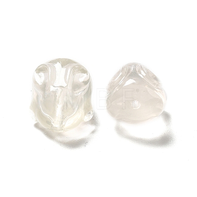 Transparent Resin Beads RESI-G060-01A-01-1
