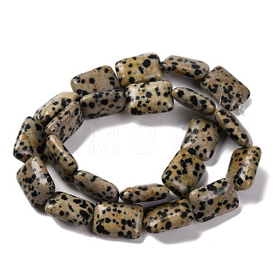 Natural Dalmatian Jasper Beads Strands G-T047-B16-01-1