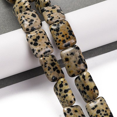 Natural Dalmatian Jasper Beads Strands G-T047-B16-01-1