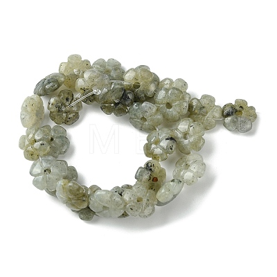 Natural Labradorite Beads Strands G-H023-B19-01-1