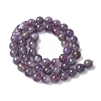 Natural Amethyst Beads Strands G-M445-8MM-01B-1