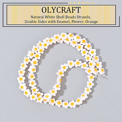 Olycraft Natural White Shell Beads Strands SHEL-OC0001-02-1
