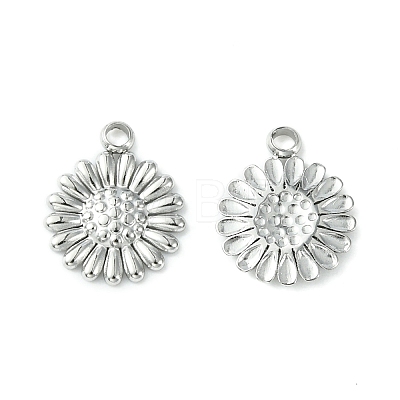 Non-Tarnish 304 Stainless Steel Charms LS-STAS-L269-062P-1