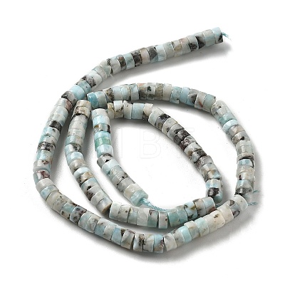 Natural Larimar Beads Strands G-Q024-B03-02-1