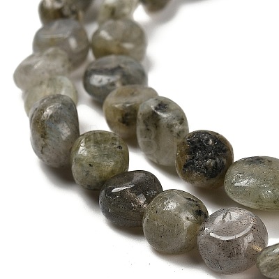Natural Labradorite Beads Strands G-P497-01E-47-1