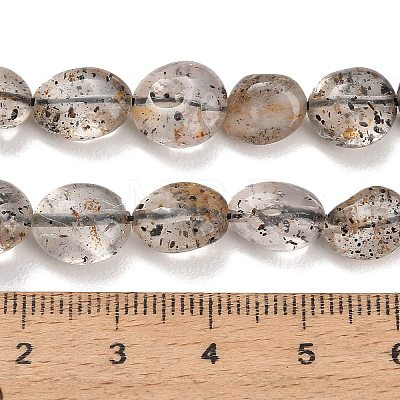 Natural Biotite Beads Strands GG-CBAC61B-B02-01-A-1