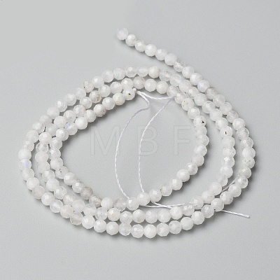 Natural Rainbow Moonstone Beads Strands X-G-O186-D02-01-1