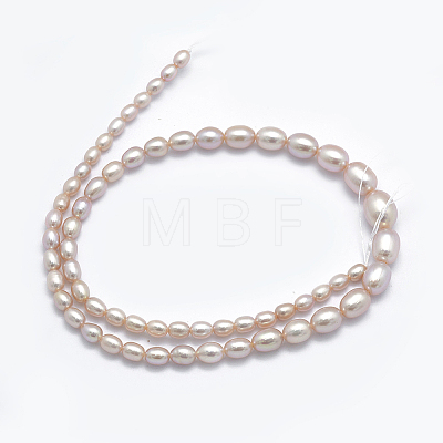 Natural Cultured Freshwater PearlBeads Strands PEAR-K003-21B-1