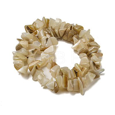 Natural Yellow Shell Beads Strands SSHEL-H072-05-1