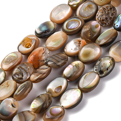 2 Strands Natural Paua Shell Beads Strands BSHE-PA0001-09-1