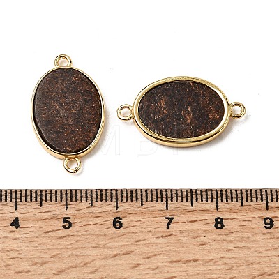 Natural Biotite Connector Charms G-A294-03B-G-1