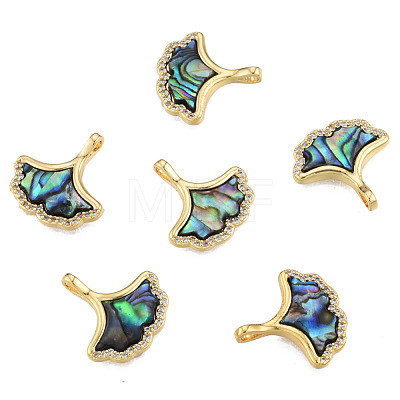 Synthetic Abalone Shell/Paua Shell Charms with Real 18K Gold Plated Brass Findings KK-N233-428-1