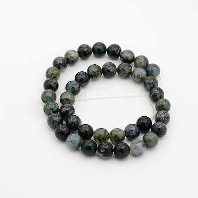 Natural Green Moss Stone Round Bead Strands G-P070-49-6mm-1